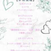 ヒメ日記 2025/11/08 12:17 投稿 なな 静岡駅前ちゃんこ