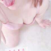 ヒメ日記 2025/12/20 17:21 投稿 なな 静岡駅前ちゃんこ