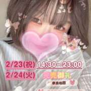 ヒメ日記 2026/02/21 10:30 投稿 さえこ 奈良橿原大和高田ちゃんこ