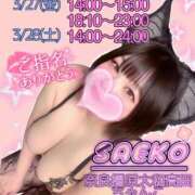 ヒメ日記 2026/03/20 17:52 投稿 さえこ 奈良橿原大和高田ちゃんこ