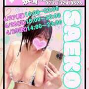 ヒメ日記 2026/04/23 18:02 投稿 さえこ 奈良橿原大和高田ちゃんこ