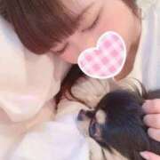 ヒメ日記 2025/10/02 00:49 投稿 りほ Love Life(ラブライフ) 池袋店