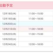 ヒメ日記 2025/12/18 12:03 投稿 みお かりんと池袋