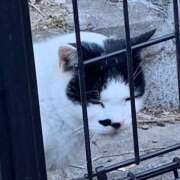 ヒメ日記 2024/12/18 02:00 投稿 涼風はるか 横浜プロダクション