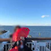 ヒメ日記 2025/01/05 01:45 投稿 涼風はるか 横浜プロダクション