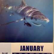 ヒメ日記 2025/01/05 23:57 投稿 涼風はるか 横浜プロダクション