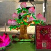 ヒメ日記 2025/01/26 23:33 投稿 涼風はるか 横浜プロダクション