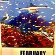 ヒメ日記 2025/02/02 01:30 投稿 涼風はるか 横浜プロダクション