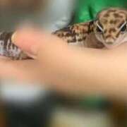 ヒメ日記 2025/02/05 01:30 投稿 涼風はるか 横浜プロダクション