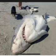 ヒメ日記 2025/02/07 02:00 投稿 涼風はるか 横浜プロダクション