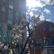 ヒメ日記 2025/02/08 23:11 投稿 涼風はるか 横浜プロダクション