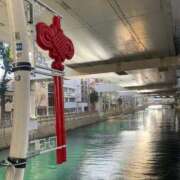 ヒメ日記 2025/02/14 23:44 投稿 涼風はるか 横浜プロダクション