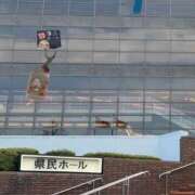 ヒメ日記 2025/02/21 02:00 投稿 涼風はるか 横浜プロダクション