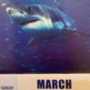 ヒメ日記 2025/03/01 23:49 投稿 涼風はるか 横浜プロダクション