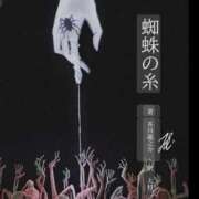 ヒメ日記 2025/03/03 23:47 投稿 涼風はるか 横浜プロダクション