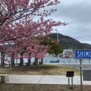 ヒメ日記 2025/03/08 02:00 投稿 涼風はるか 横浜プロダクション