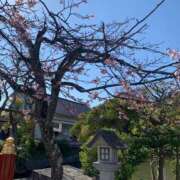 ヒメ日記 2025/03/20 21:03 投稿 涼風はるか 横浜プロダクション