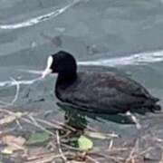 ヒメ日記 2025/03/23 01:30 投稿 涼風はるか 横浜プロダクション