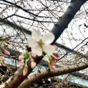 ヒメ日記 2025/03/27 01:45 投稿 涼風はるか 横浜プロダクション