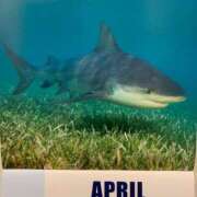 ヒメ日記 2025/04/02 01:55 投稿 涼風はるか 横浜プロダクション