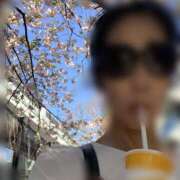 ヒメ日記 2025/04/14 23:06 投稿 涼風はるか 横浜プロダクション