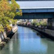 ヒメ日記 2025/04/16 01:30 投稿 涼風はるか 横浜プロダクション