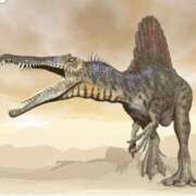 ヒメ日記 2025/04/29 01:15 投稿 涼風はるか 横浜プロダクション