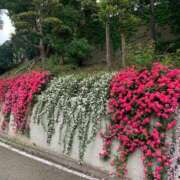 ヒメ日記 2025/05/14 01:45 投稿 涼風はるか 横浜プロダクション