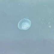 ヒメ日記 2025/05/15 01:30 投稿 涼風はるか 横浜プロダクション