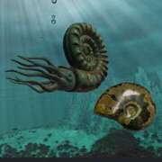 ヒメ日記 2025/05/22 02:00 投稿 涼風はるか 横浜プロダクション