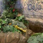 ヒメ日記 2025/05/29 01:45 投稿 涼風はるか 横浜プロダクション