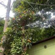 ヒメ日記 2025/05/29 23:40 投稿 涼風はるか 横浜プロダクション