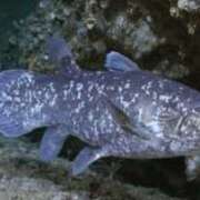 ヒメ日記 2025/06/01 01:30 投稿 涼風はるか 横浜プロダクション