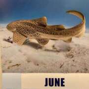 ヒメ日記 2025/06/03 21:56 投稿 涼風はるか 横浜プロダクション