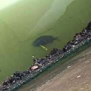 ヒメ日記 2025/06/27 02:00 投稿 涼風はるか 横浜プロダクション