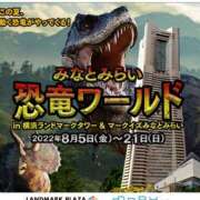 ヒメ日記 2025/06/28 23:29 投稿 涼風はるか 横浜プロダクション