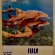 ヒメ日記 2025/07/02 01:45 投稿 涼風はるか 横浜プロダクション