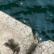 ヒメ日記 2025/07/05 01:00 投稿 涼風はるか 横浜プロダクション