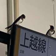 ヒメ日記 2025/07/08 00:30 投稿 涼風はるか 横浜プロダクション