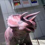 ヒメ日記 2025/07/21 01:30 投稿 涼風はるか 横浜プロダクション