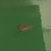 ヒメ日記 2025/08/02 01:45 投稿 涼風はるか 横浜プロダクション