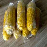 ヒメ日記 2025/08/04 00:27 投稿 涼風はるか 横浜プロダクション