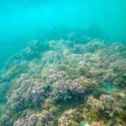 ヒメ日記 2025/08/12 23:23 投稿 涼風はるか 横浜プロダクション