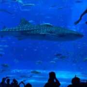 ヒメ日記 2025/08/22 01:45 投稿 涼風はるか 横浜プロダクション