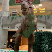 ヒメ日記 2025/08/29 01:45 投稿 涼風はるか 横浜プロダクション