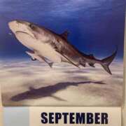 ヒメ日記 2025/09/02 22:48 投稿 涼風はるか 横浜プロダクション