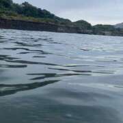 ヒメ日記 2025/09/17 01:30 投稿 涼風はるか 横浜プロダクション