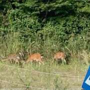 ヒメ日記 2025/09/23 22:42 投稿 涼風はるか 横浜プロダクション