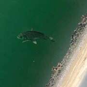 ヒメ日記 2025/10/09 01:45 投稿 涼風はるか 横浜プロダクション