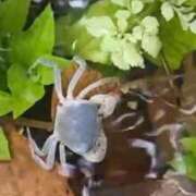 ヒメ日記 2025/10/10 02:00 投稿 涼風はるか 横浜プロダクション